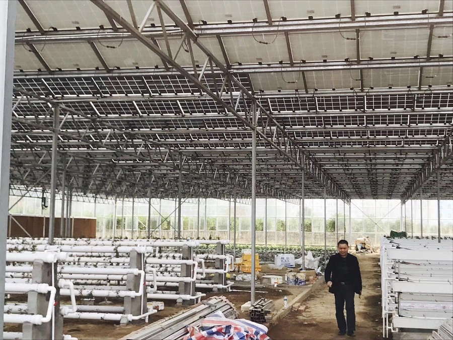 太陽能光伏蔬菜大棚,既能發電賺錢又能種菜賺錢實現雙營收 太陽能光伏蔬菜大棚,既能發電賺錢又能種菜賺錢實現雙營收